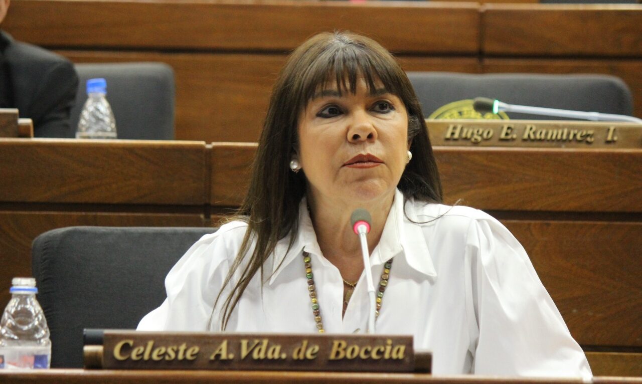Celeste Amarilla apoya la reforma: «Es pan para hoy, hambre para mañana»