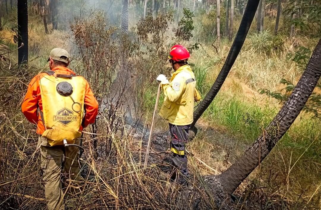 Reserva Aguapey: Bomberos realizan reconocimiento para verificar si persiste el foco activo