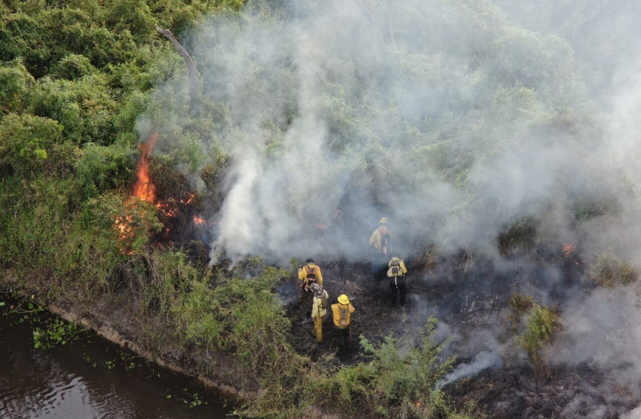 Calor extremo y riesgo de incendios: Infona activa la prohibición temporal del uso del fuego