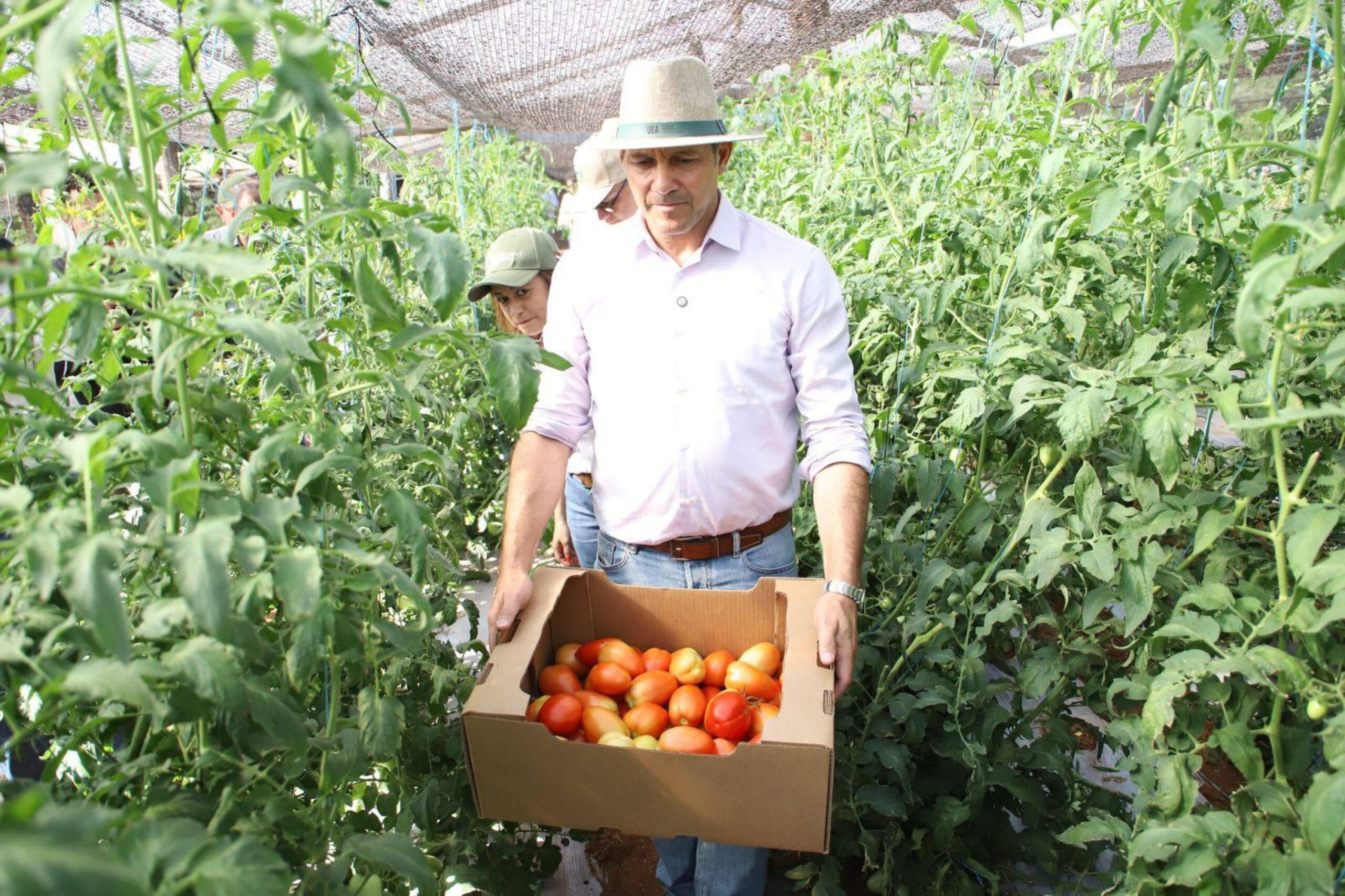 Gobierno atribuye al empleo como motor de la baja de pobreza