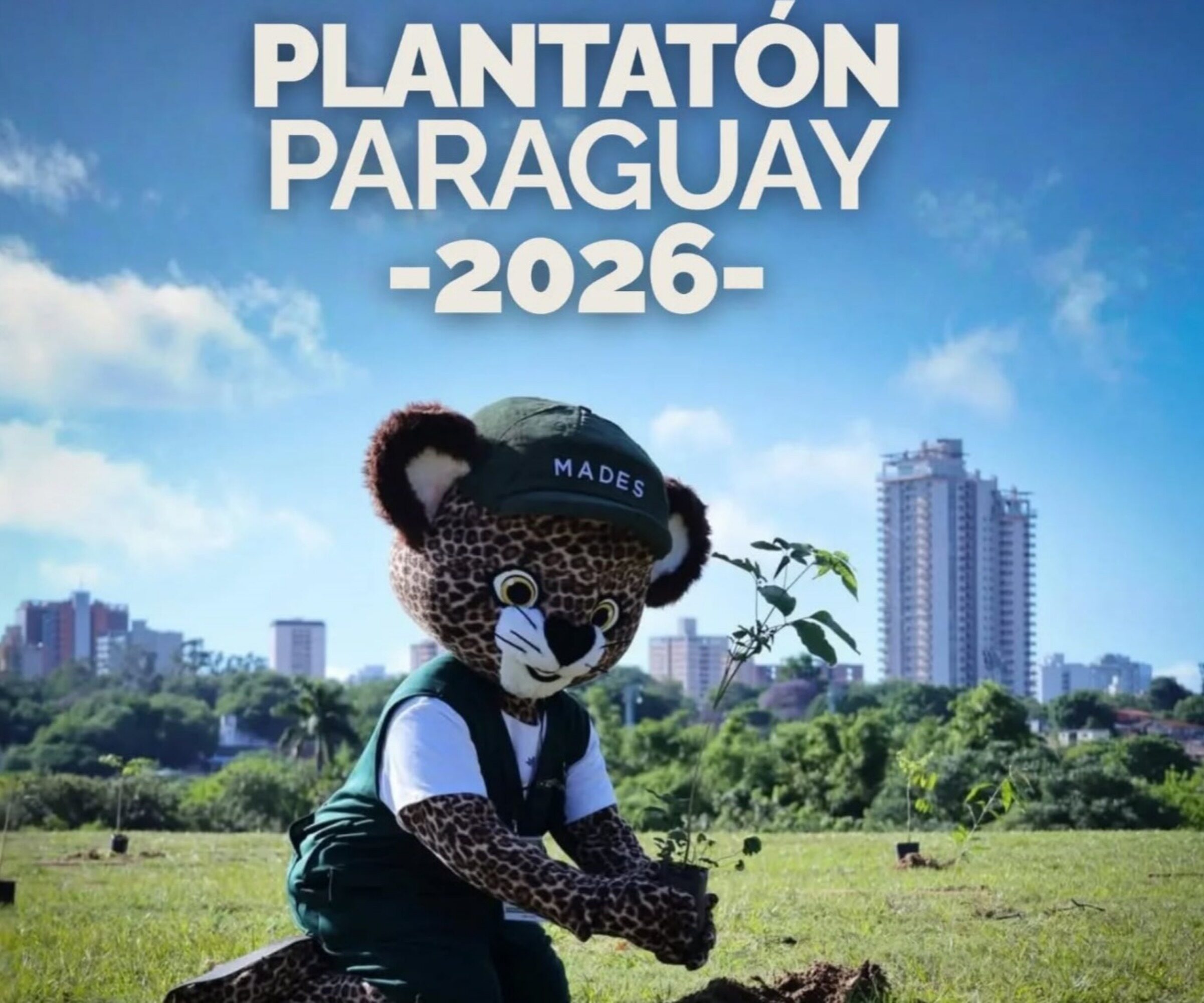 Asunción se prepara para plantar 10.000 árboles nativos este sábado