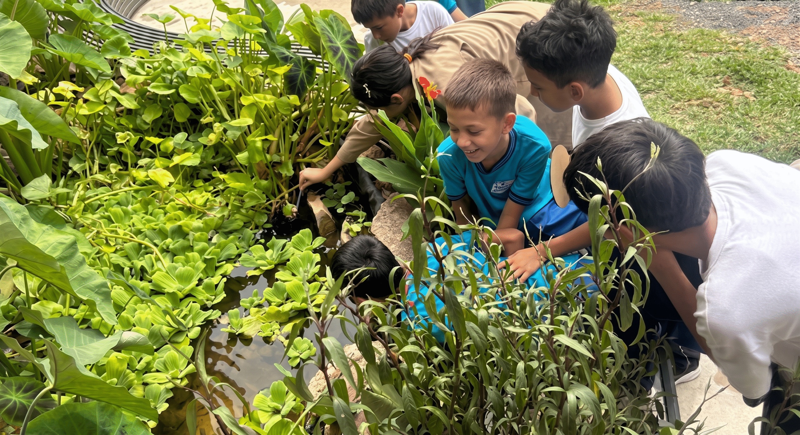 «Ciencia a cielo abierto»: El plan ideal para aprender y explorar