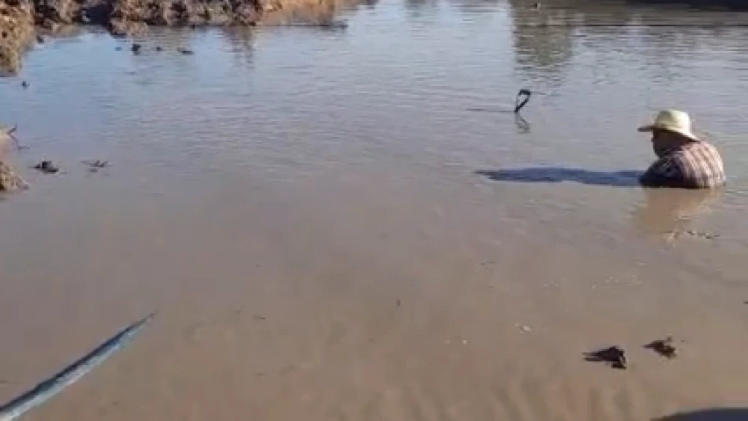 Inundaciones y infraestructuras inestables ponen en riesgo la vida de los pobladores del Chaco