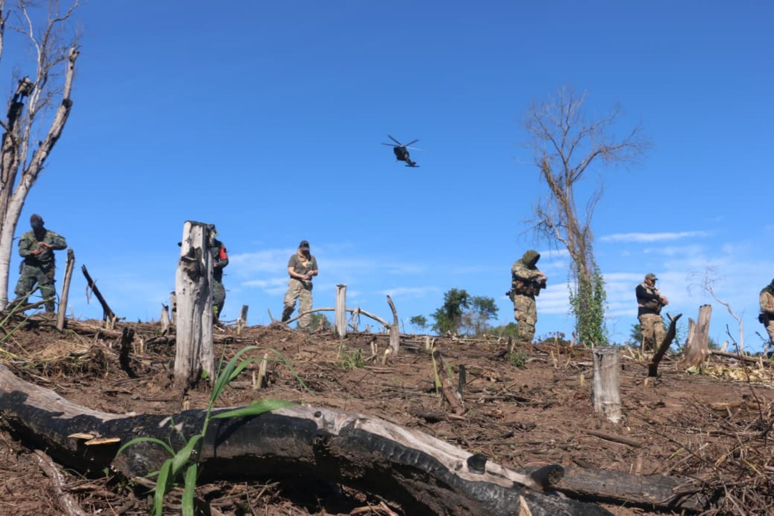 Buscan sanar los bosques afectados por el narcotráfico con la «Operación Restaurar»