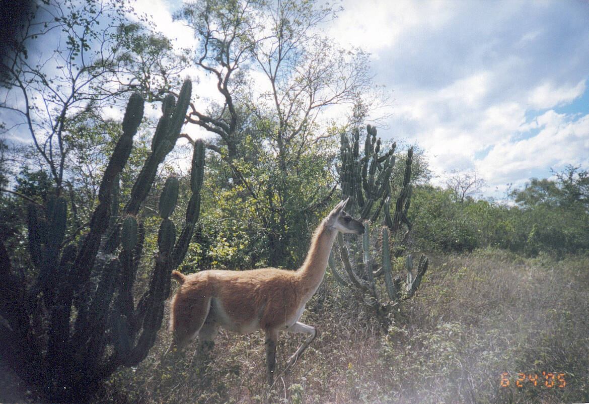 Debaten cambios en Parque Nacional Médanos del Chaco
