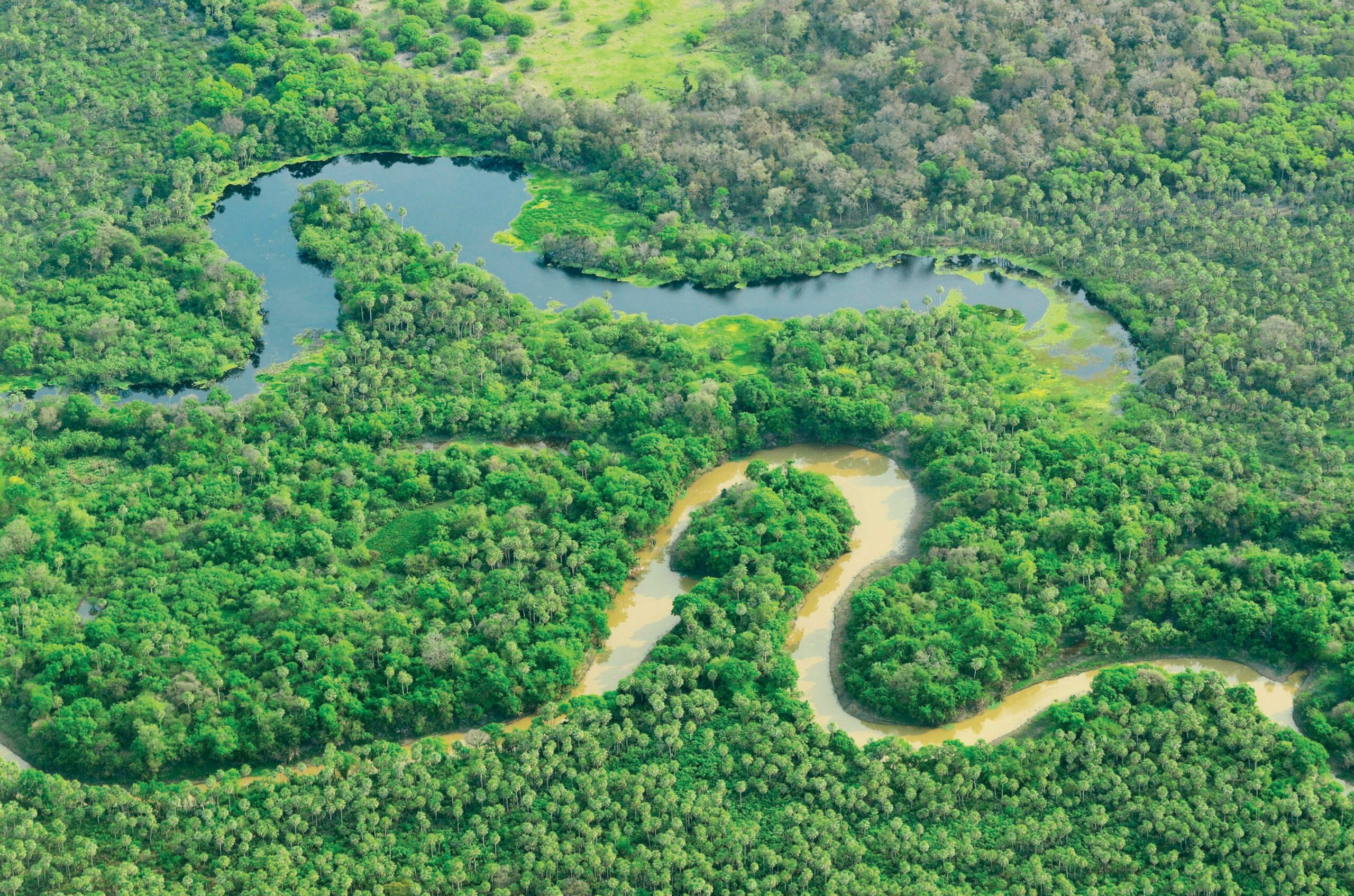 Paraguay lanza su primera Política Forestal Nacional con enfoque en desarrollo sostenible