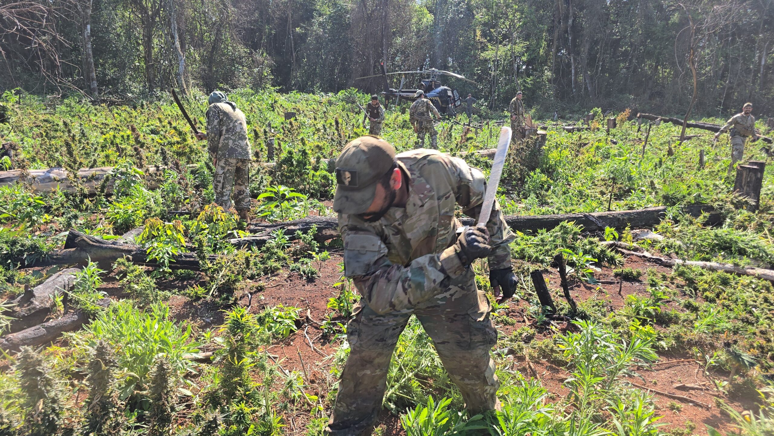 Operativo binacional golpea al narcotráfico y protege reservas naturales