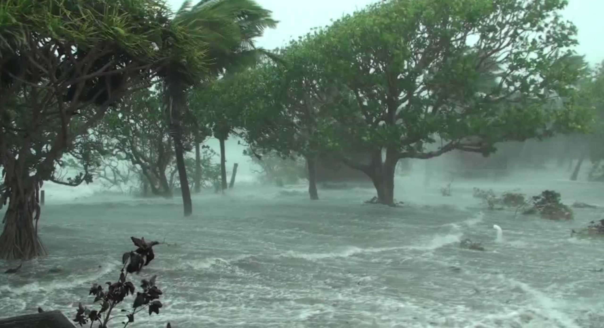 ¿Qué pasa con El Niño en Paraguay? La explicación de Meteorología