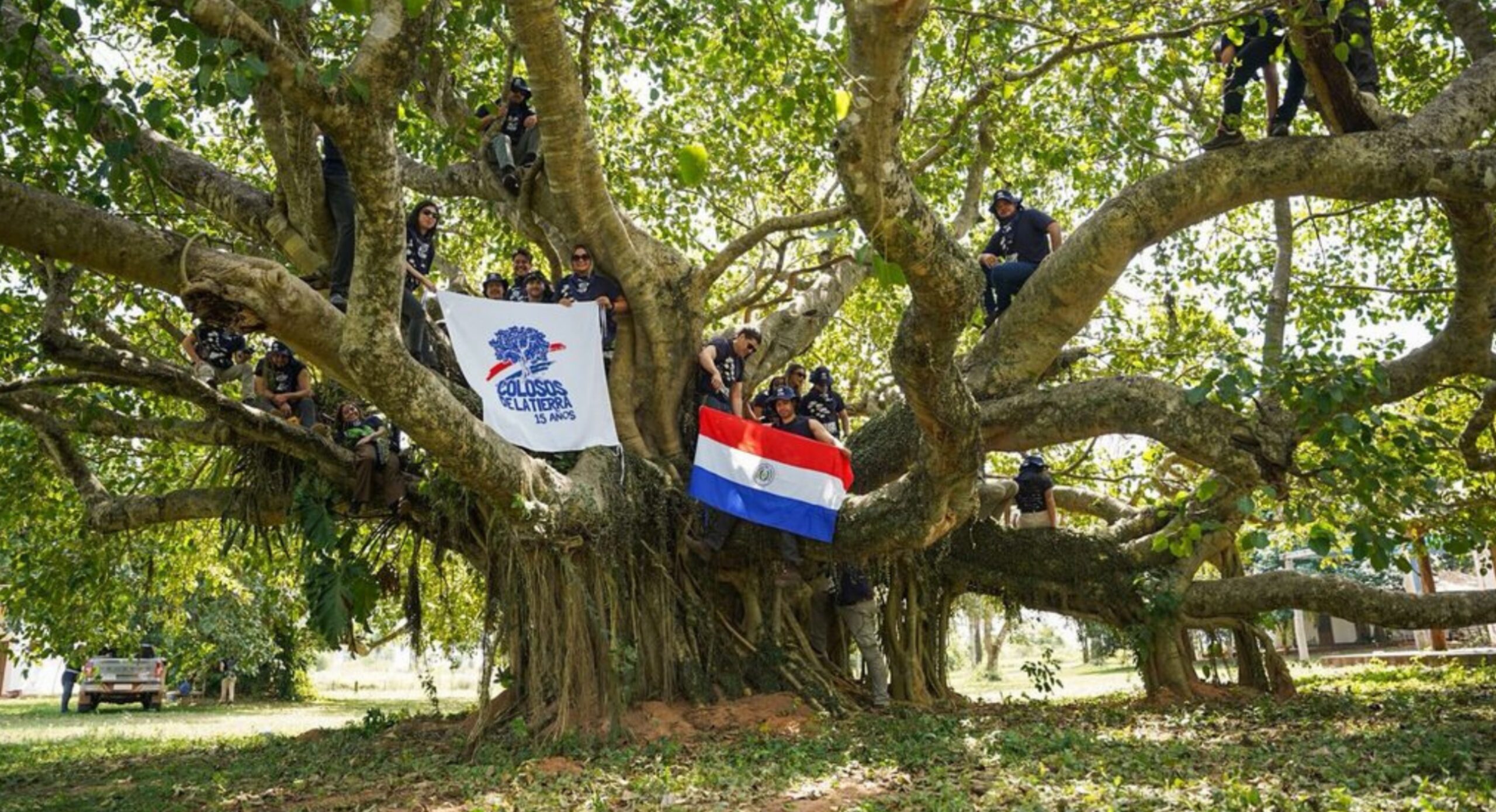 Colosos de la Tierra premia al ejemplar más grande del Paraguay